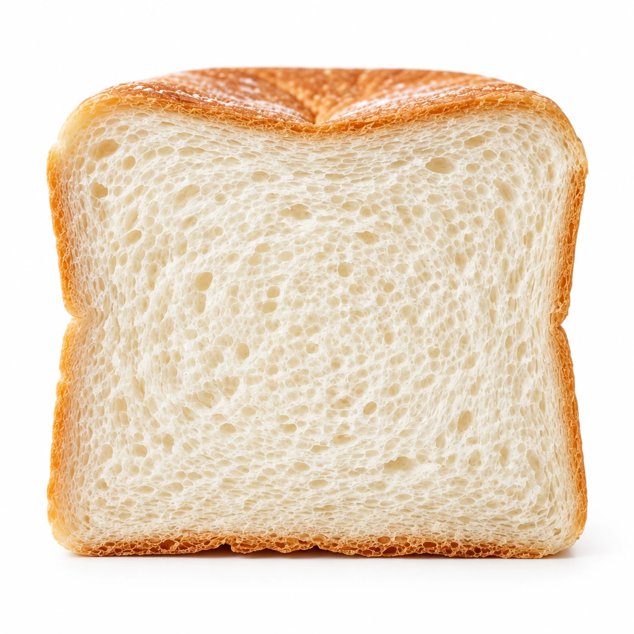 발효식빵 한 장의 정면 단면